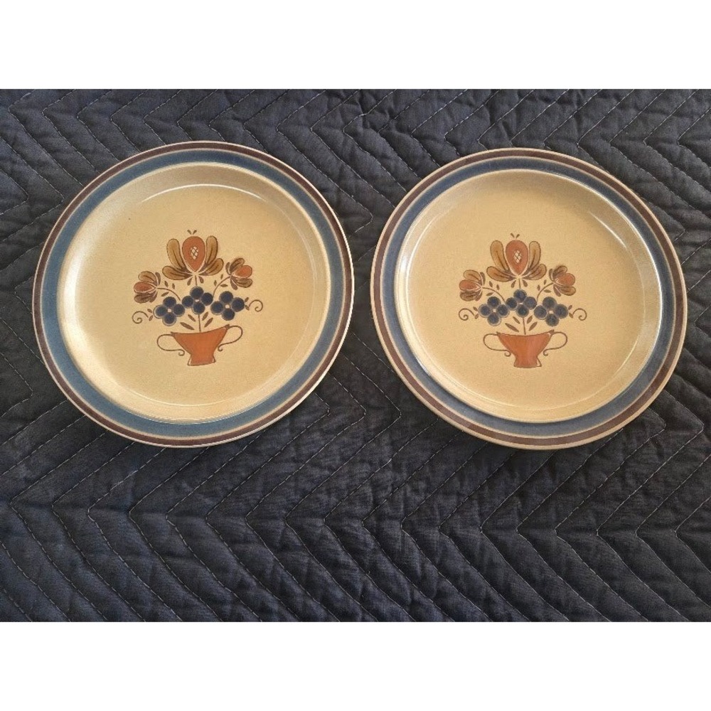 Newcor Coronet 169 Stoneware Salad Plates Set of 2 Floral Japan Vintage 7.5 Inch